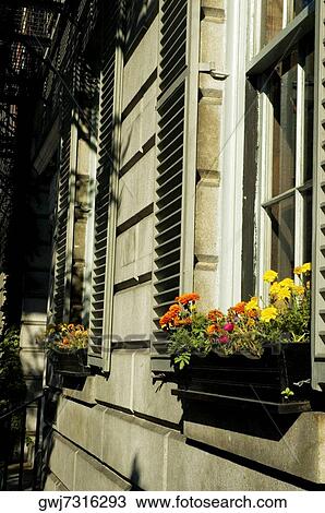 Plants in a box on a window View Large Photo Image Stock Image - Plants in a box on a window. Fotosearch