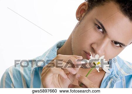 Portrait of a young man picking a flower View Large Photo Image Stock Image - Portrait of a young man picking a flower. Fotosearch