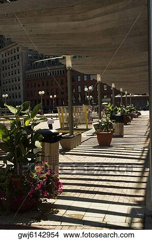 Potted plant in a corridor, City Hall Plaza, Boston, USA View Large Photo Image Picture - Potted plant in a corridor, City Hall Plaza, Boston, USA. Fotosearch