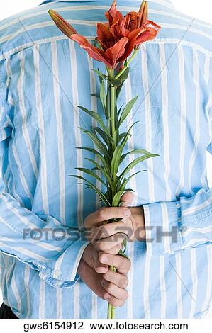 Rear view of a man hiding flowers behind his back View Large Photo Image Stock Image - Rear view of a man hiding flowers behind his back. Fotosearch