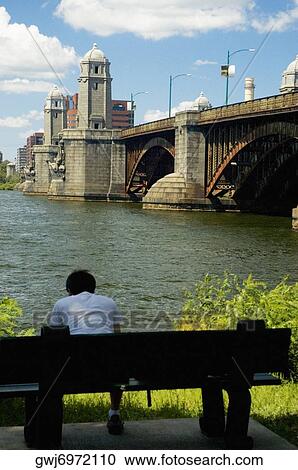 Stock Image - Rear view of a man sitting on a bench near a bridge, Longfellow Bridge, Charles River, Boston, Massachusetts, USA. Fotosearch