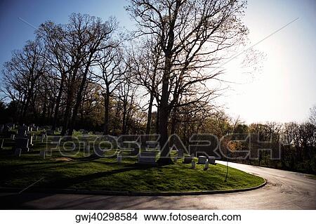 Road along the gravestones, Arlington National Cemetery, Arlington, Virginia, USA View Large Photo Image Picture - Road along the gravestones, Arlington National Cemetery, Arlington, Virginia, USA. Fotosearch