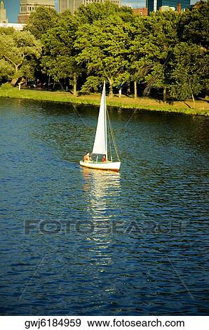 Sailboat on a river, Boston, Massachusetts, USA View Large Photo Image Stock Photo - Sailboat on a river, Boston, Massachusetts, USA. Fotosearch
