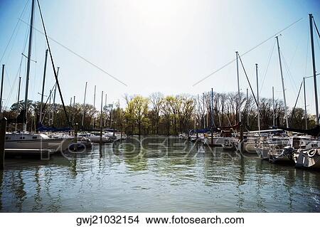 Sailboats docked in the Potomac River, Washington DC, USA View Large Photo Image Picture - Sailboats docked in the Potomac River, Washington DC, USA. Fotosearch