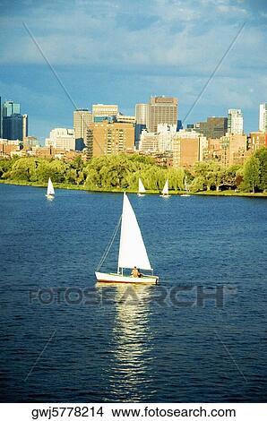 Sailboats in a river, Charles River, Boston, Massachusetts, USA View Large Photo Image Picture - Sailboats in a river, Charles River, Boston, Massachusetts, USA. Fotosearch