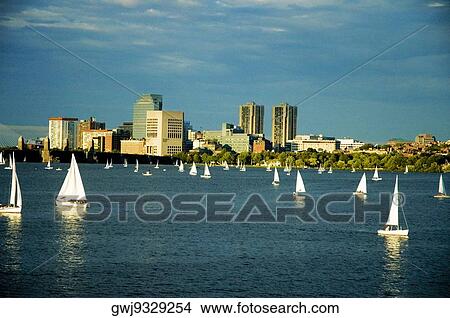 Sailboats in a river, Charles River, Boston, Massachusetts, USA View Large Photo Image Picture - Sailboats in a river, Charles River, Boston, Massachusetts, USA. Fotosearch