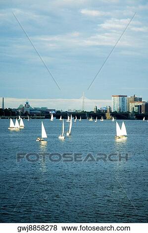 Stock Photo - Sailboats in a river, Charles River, Boston, Massachusetts, USA. Fotosearch