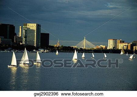 Sailboats in a river, Charles River, Boston, Massachusetts, USA View Large Photo Image Stock Photograph - Sailboats in a river, Charles River, Boston, Massachusetts, USA. Fotosearch