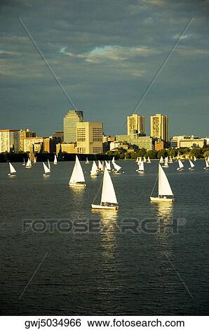 Sailboats in a river, Charles River, Boston, Massachusetts, USA View Large Photo Image Stock Photograph - Sailboats in a river, Charles River, Boston, Massachusetts, USA. Fotosearch
