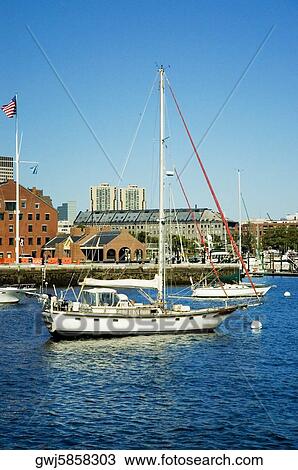 Sailboats in the river, Boston, Massachusetts, USA View Large Photo Image Stock Image - Sailboats in the river, Boston, Massachusetts, USA. Fotosearch