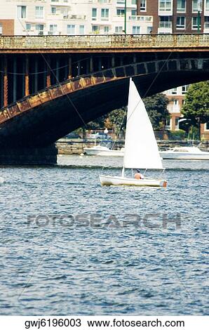 Sailboats in the river, Boston, Massachusetts, USA View Large Photo Image Stock Image - Sailboats in the river, Boston, Massachusetts, USA. Fotosearch