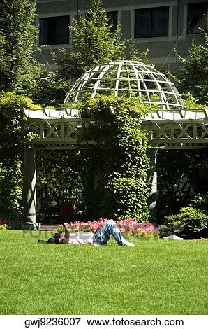 Side profile of a person lying in a park, Norman Leventhal Park, Boston, Massachusetts, USA View Large Photo Image Stock Photo - Side profile of a person lying in a park, Norman Leventhal Park, Boston, Massachusetts, USA. Fotosearch
