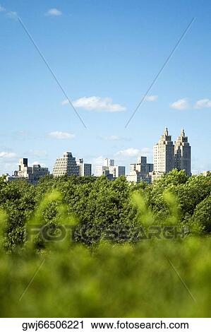 Stock Image - Skyscrapers behind trees, New York City, New York State, USA. Fotosearch