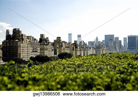 Skyscrapers behind trees, New York City, New York State, USA View Large Photo Image Stock Photograph - Skyscrapers behind trees, New York City, New York State, USA. Fotosearch