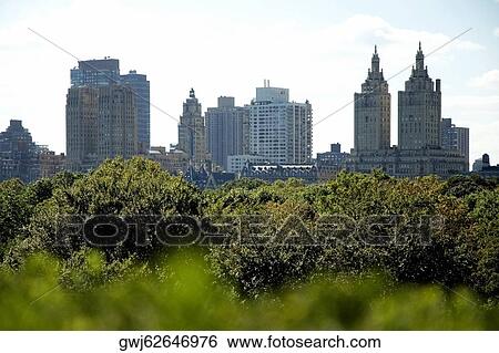 Stock Photograph - Skyscrapers behind trees, New York City, New York State, USA. Fotosearch