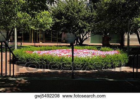 Trees and flowers at a park, Cardinal Cushing Memorial Park, Boston, USA View Large Photo Image Stock Photo - Trees and flowers at a park, Cardinal Cushing Memorial Park, Boston, USA. Fotosearch