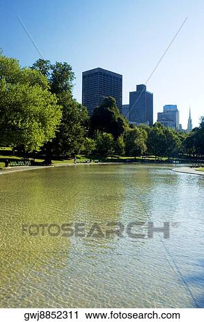Stock Image - Trees on the edge of a pond, Frog Pond, Boston, Massachusetts, USA. Fotosearch