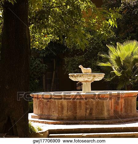 Birdbath in the garden, Mexico View Large Photo Image Stock Photo - Birdbath in the garden, Mexico. Fotosearch