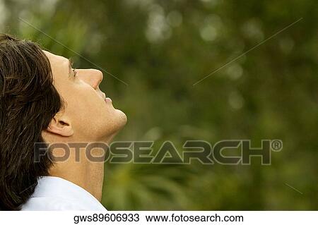 Close-up of a businessman looking up View Large Photo Image Stock Image - Close-up of a businessman looking up. Fotosearch