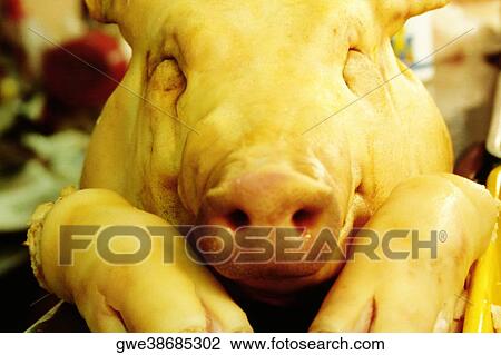 Close-up of a dead pig, Naha, Okinawa, Japan View Large Photo Image Stock Image - Close-up of a dead pig, Naha, Okinawa, Japan. Fotosearch