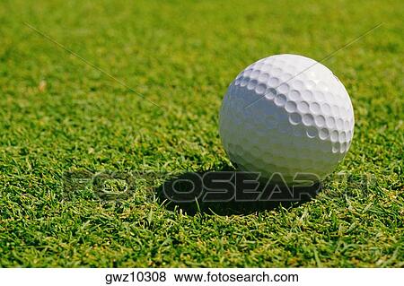 Close-up of a golf ball on a golf course View Large Photo Image Stock Photo - Close-up of a golf ball on a golf course. Fotosearch