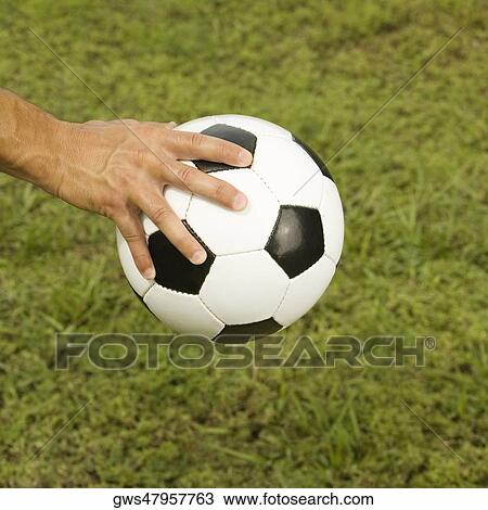 Close-up of a man's hand holding a soccer ball View Large Photo Image Stock Image - Close-up of a man's hand holding a soccer ball. Fotosearch
