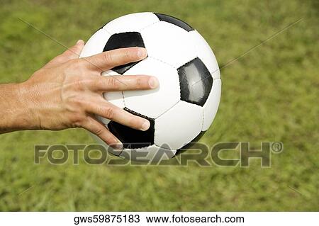 Close-up of a man's hand holding a soccer ball View Large Photo Image Stock Image - Close-up of a man's hand holding a soccer ball. Fotosearch