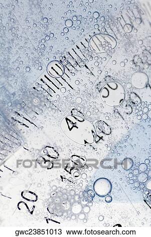Close-up of a protractor in water View Large Photo Image Stock Image - Close-up of a protractor in water. Fotosearch