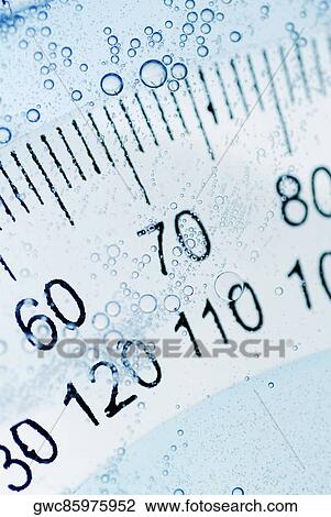 Close-up of a protractor in water View Large Photo Image Stock Image - Close-up of a protractor in water. Fotosearch