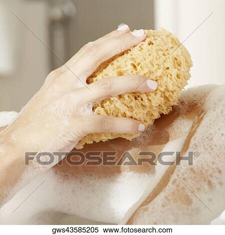 Close-up of a woman's hand holding a bath sponge View Large Photo Image Stock Photography - Close-up of a woman's hand holding a bath sponge. Fotosearch