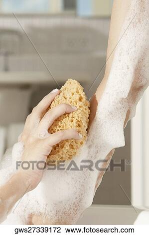 Close-up of a woman's hand using a bath sponge on her arm View Large Photo Image Stock Image - Close-up of a woman's hand using a bath sponge on her arm. Fotosearch