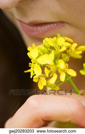 Stock Image - Close-up of a young woman holding flowers. Fotosearch