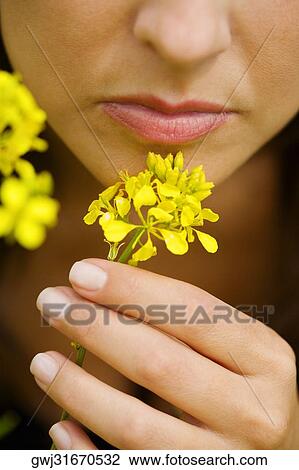 Stock Image - Close-up of a young woman holding flowers. Fotosearch