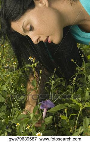 Close-up of a young woman picking up a flower View Large Photo Image Stock Photo - Close-up of a young woman picking up a flower. Fotosearch