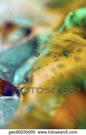 Close-up of ice cubes View Large Photo Image Stock Photography - Close-up of ice cubes. Fotosearch