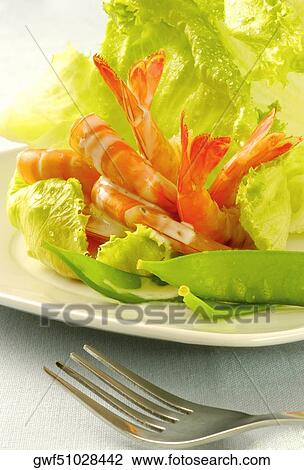 Close-up of shrimp and vegetable salad View Large Photo Image Stock Image - Close-up of shrimp and vegetable salad. Fotosearch