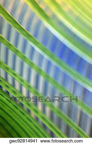 Close-up of spiral binding View Large Photo Image Stock Image - Close-up of spiral binding. Fotosearch
