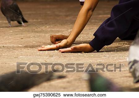Close-up of two people feeding a pigeon View Large Photo Image Stock Photography - Close-up of two people feeding a pigeon. Fotosearch