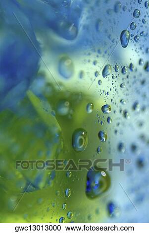 Close-up of water drops on a surface View Large Photo Image Stock Image - Close-up of water drops on a surface. Fotosearch