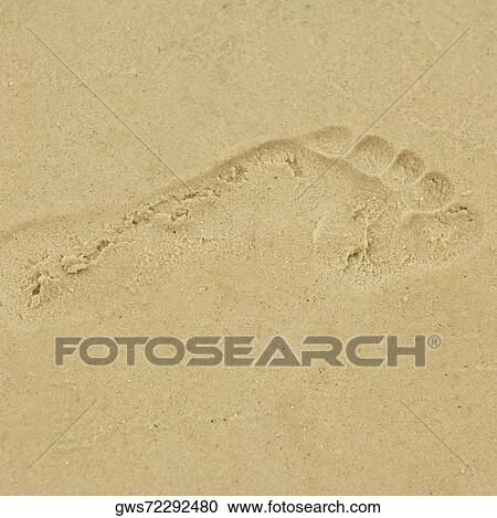Footprints in sand View Large Photo Image Stock Image - Footprints in sand. Fotosearch