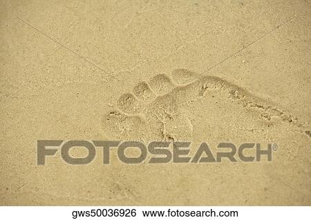 Footprints in sand View Large Photo Image Stock Photograph - Footprints in sand. Fotosearch