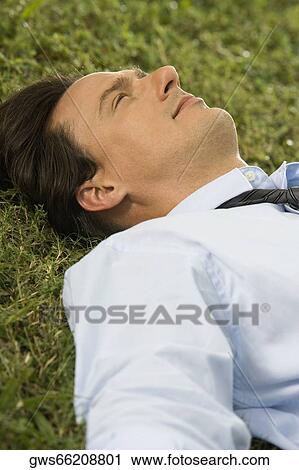 High angle view of a businessman lying on the grass View Large Photo Image Stock Image - High angle view of a businessman lying on the grass. Fotosearch