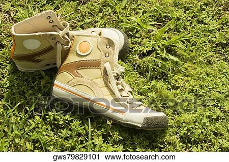 High angle view of a pair of shoes on the grass View Large Photo Image Stock Image - High angle view of a pair of shoes on the grass. Fotosearch