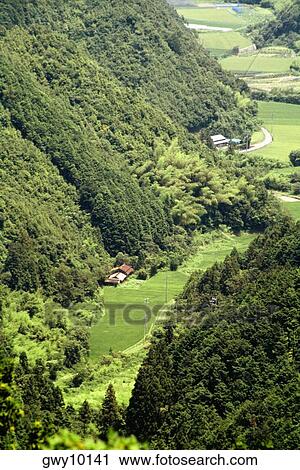 High angle view of houses in a valley, Mountain Valley, Kochi, Shikoku, Japan View Large Photo Image Stock Image - High angle view of houses in a valley, Mountain Valley, Kochi, Shikoku, Japan. Fotosearch