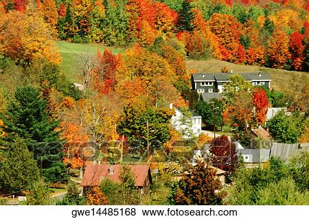 High angle view of houses surrounded by trees, Burke Hollow, Vermont, USA View Large Photo Image Stock Photo - High angle view of houses surrounded by trees, Burke Hollow, Vermont, USA. Fotosearch