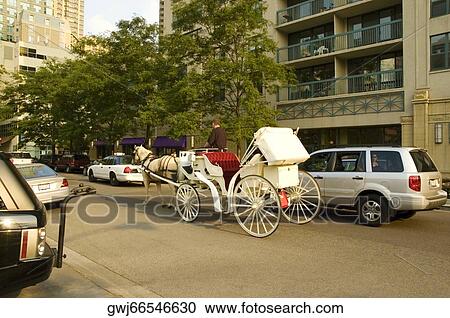 Horse cart in front of building, Chicago, Illinois, USA View Large Photo Image Stock Image - Horse cart in front of building, Chicago, Illinois, USA. Fotosearch