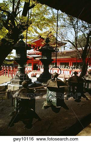 Lanterns hanging from the ceiling, Kasuga Shrine, Nara, Japan View Large Photo Image Stock Photograph - Lanterns hanging from the ceiling, Kasuga Shrine, Nara, Japan. Fotosearch