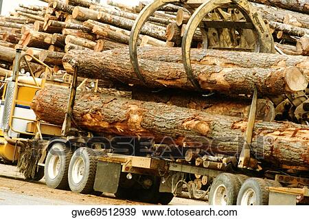 Logs being unloaded off a truck, Reedsport, Oregon, USA View Large Photo Image Stock Photo - Logs being unloaded off a truck, Reedsport, Oregon, USA. Fotosearch