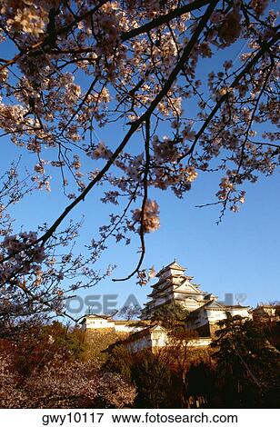 Low angle view of a castle, Himeji Castle, Himeji, Japan View Large Photo Image Stock Photo - Low angle view of a castle, Himeji Castle, Himeji, Japan. Fotosearch
