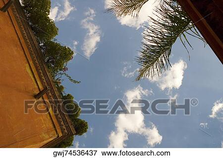 Low angle view of plants on a building, Mexico View Large Photo Image Stock Photo - Low angle view of plants on a building, Mexico. Fotosearch